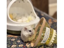 ホバー ペット(HHOBAR PET)の雰囲気（大事なペットちゃん大歓迎）