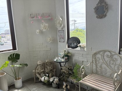 エステクララ 加古川西店の写真