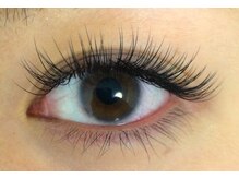 スンダリ(Sundari)/フラットラッシュ120本☆