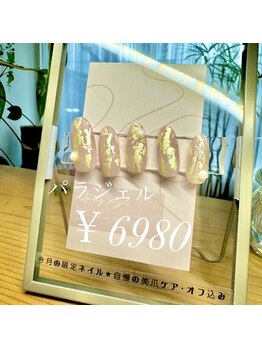 フェアリーヘア ニーナ(Fairy Hair Ni-na)/5月パラジェル限定ネイル/美爪