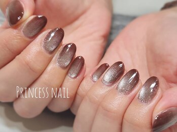 プリンセスネイル(Princess nail)/マグネットグラデーション10,300