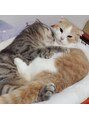ねこのて 仙川&nbsp;猫ちゃん飼ってます♪[仙川/ニュアンス/定額/持ち込み]