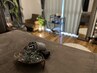 【口コミ投稿でさらにお得♪】　ヘッドマッサージ15分　無料♪