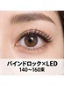 【濃密ボリューム×高持続】LEDバインドロック140～160束￥14,580～