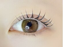 リノ カヒリ アイラッシュ(Lino kahili)/ラッシュリフト