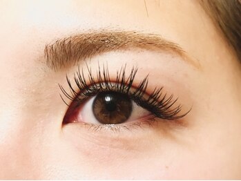 セレンディピティ(Serendipity)/フラットラッシュ　200本