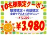 【先着10名様限り】姿勢改善♪猫背+骨盤矯正(75分) ¥13200→¥3980
