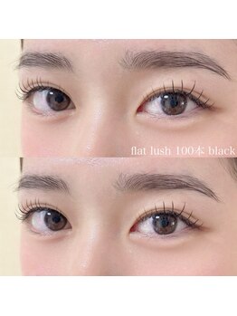 ノーチェ(noce)/フラットラッシュ100本black