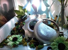 多もあ/☆種類豊富なカッサ[新宿]