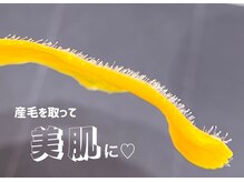 レディ(Lady)/スキンケアフェイスWAX