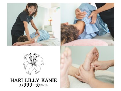 ハリ リリー カニエの写真