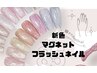 【新商品】マグネットフラッシュネイル♪4800！！！