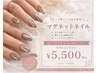 【ご新規様限定】マグネットネイル /※ハンドのみ