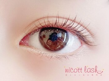 ニコットラッシュ 神戸三宮店(nicott lash)/まつげパーマ/パリジェンヌ/神戸