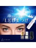 LEDに変更※メニューを選択してください【単品予約不可】