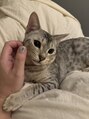ネイルサロン アウル(Nail Salon OWL)&nbsp;うちの子、ニカ君