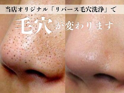 シャルトルズ 西宮北口店の写真