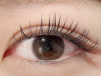 カラン 焼津店(CALIN)/フラットラッシュ120本