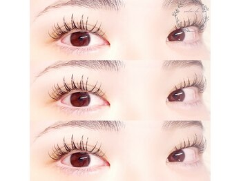 サロンドグリシーヌ 大塚(salon de glycine)/《パリバインド》大塚/新大塚