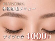 プルメリア 久留米店(PLUMERIA)の雰囲気（マツエク・まつげパーマだけでなくアイブロウもご用意！）