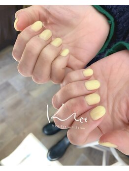 クレー(Klee)/美ワンカラー