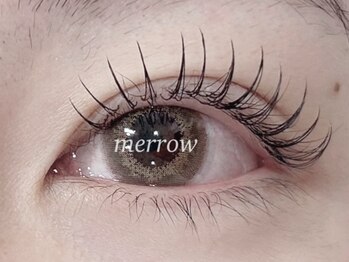 メロウ(merrow)/フラットラッシュ