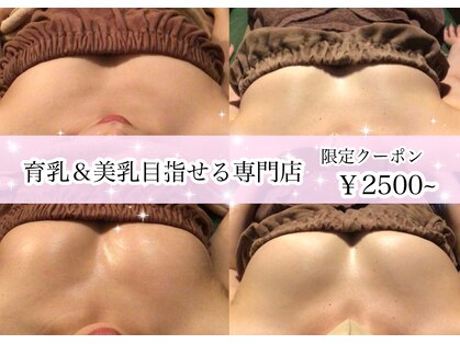 ナトゥーラ チュチュ(natura chuchu)の写真