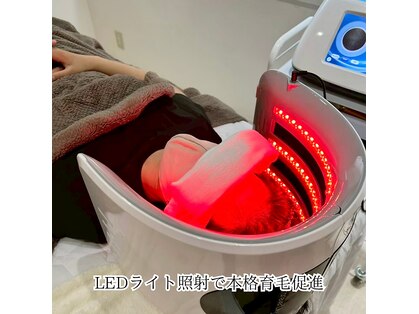 アメリ(Ameri)の写真