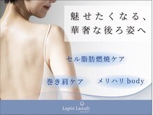 ラピスラズリの雰囲気（【40代～70代に人気♪】大人のためのフェイシャルエステ＆痩身）