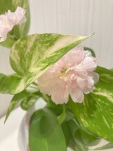 アロマホット上野店(Aroma Hot) 陳