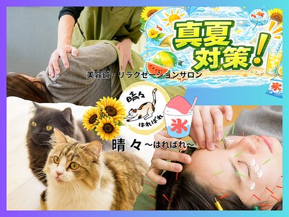 晴々の写真
