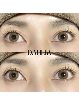 ダリア(Dahlia)/まつげパーマ