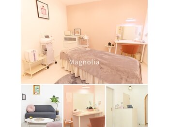 マグノリア(Magnolia)