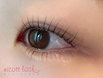 ニコットラッシュ 神戸三宮店(nicott lash)/まつげパーマ/パリジェンヌ/神戸