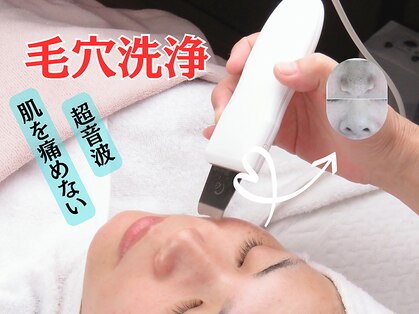 チチ(Chichi)の写真