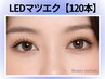 《全員》LED｜フラットラッシュ120本￥12390→【￥9660】[吉祥寺・三鷹]