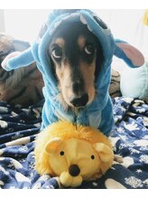 プチサロン ラナ(LANA)&nbsp;れん 