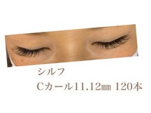 シルフ 石橋店(Sylph)/ミックススタイル