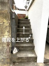 レディバード(Lady Bird)/