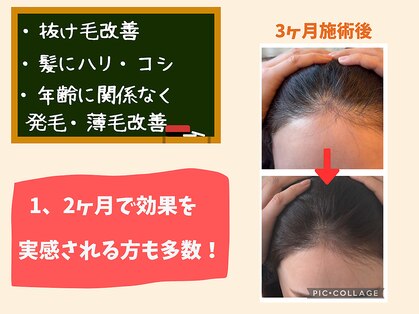 やすとも整体の写真