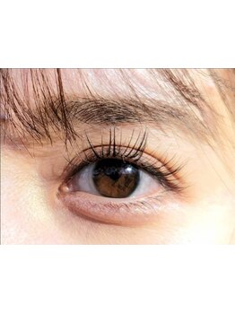 初めての方にオススメ