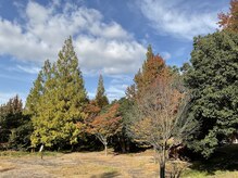 整うリラクゼーション/癒しの自然風景