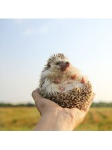 アズジーノ 札幌店(AZUjino) nailist yuri