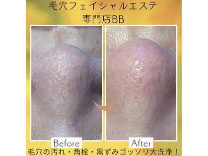 ビービー(BB)の写真