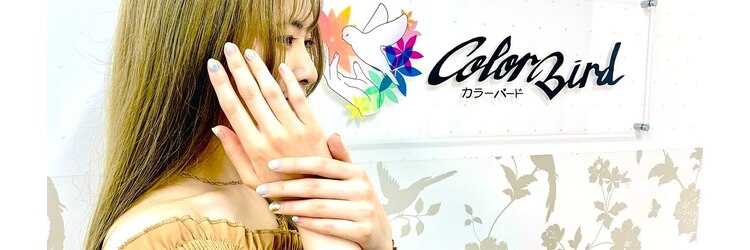 カラーバード(Color Bird)のサロンヘッダー