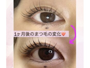 ベリー 川口店(Berry)/【眉毛専門×まつげパーマ専門】