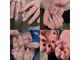ネイルエース(Nail Ace)の写真
