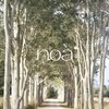 ノア(noa)のお店ロゴ