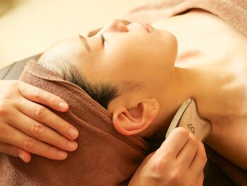 ロータス(LOTUS)/WINBACKカッサ