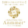アンマープラス(Anmmer+)のお店ロゴ